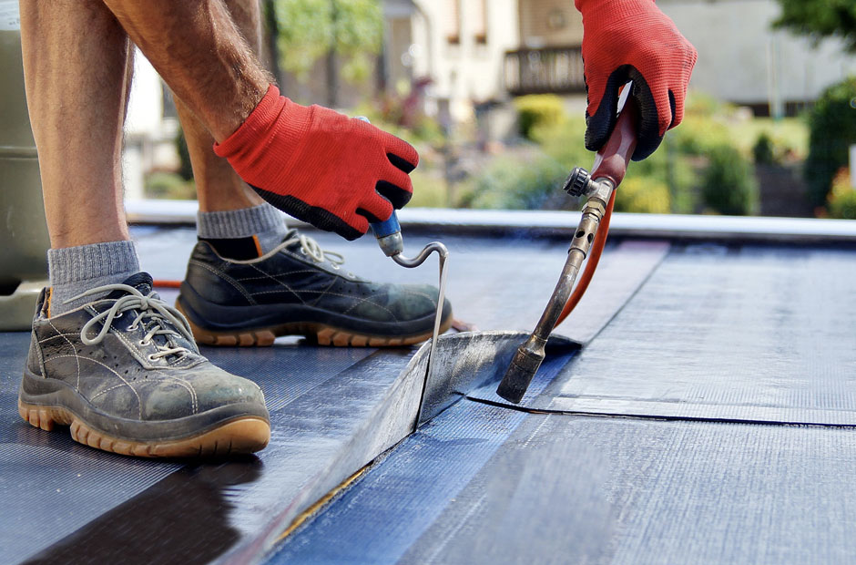 The Connection Between Waterproofing Services and Biological Growth Prevention